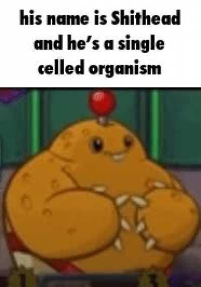 This specific Spudow gif, no further information is needed