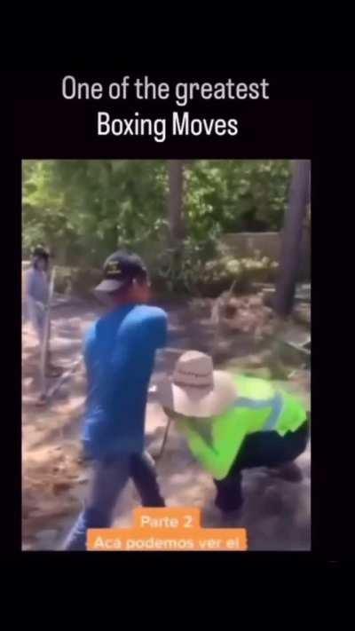 Uma verdedeira aula 🥊🥊🥊