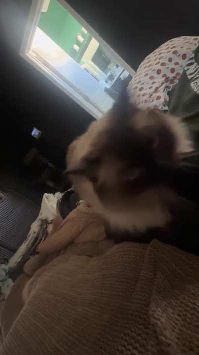 My little mobile biscuit maker