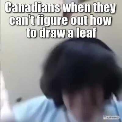 r/place in a nutshell.