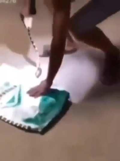 To cover a snake with a piece of plastic 