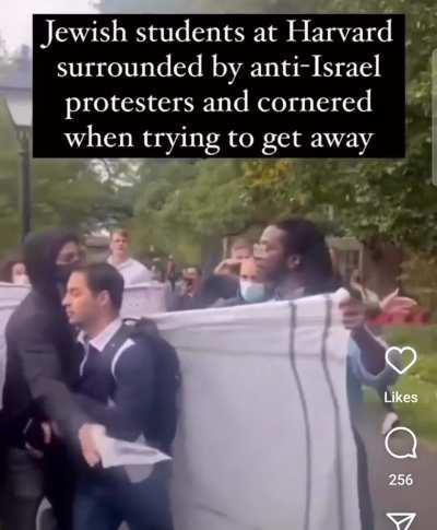 Pro Palestiners corner Jewish student at Harvard 