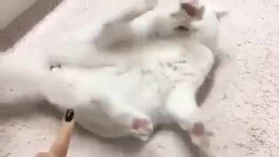 System Error: Tickling Caused Malfunction