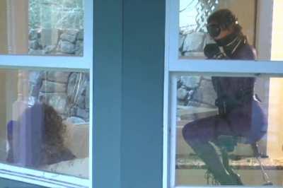 When you find out you have kinky neighbors