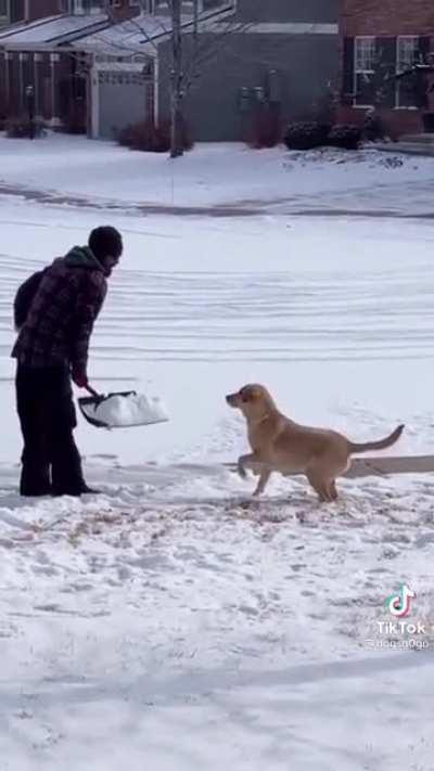 Snow days are the best (found on TikTok)