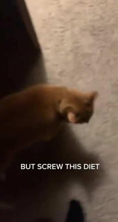 This Chonker is NOT happy about the empty food bowl