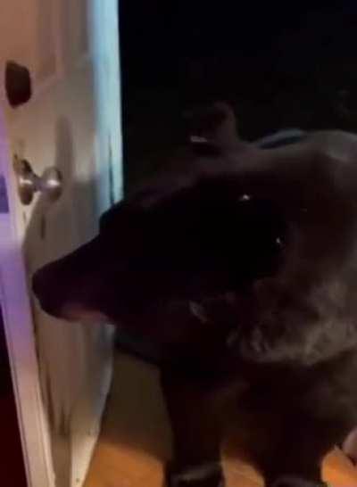 Umm... sorry, wrong door