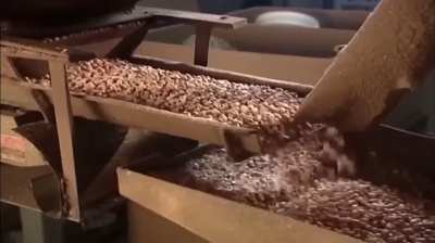 A well known classic