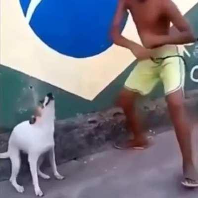 Boutta jam to the best dungeon OST again