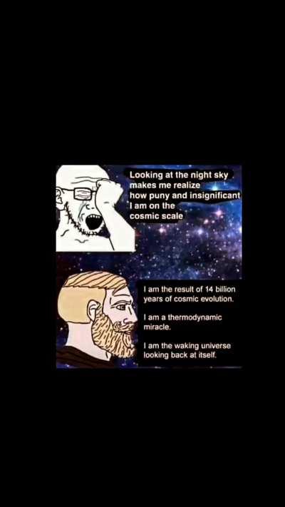 How's your day going bros