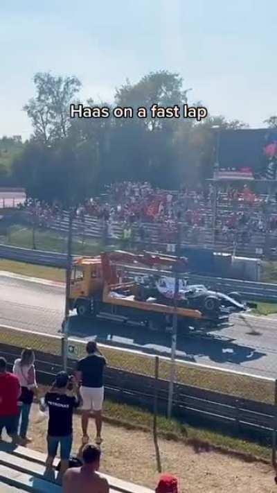 Haas is meme material