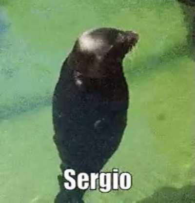 Sergio🤬