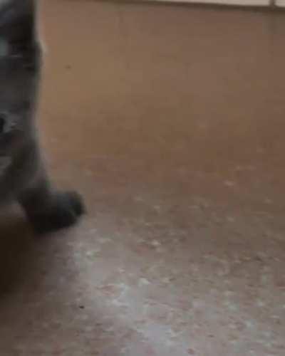 This guy is supposed to teach me?