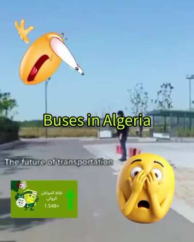 Can any Algorithms 🇩🇿 please confirm?