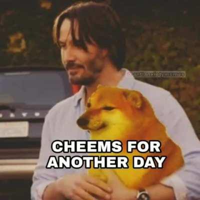 Follow @ANTIANXIETYMEMES on instagram