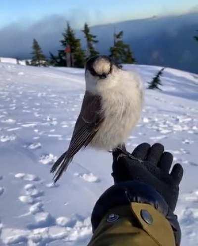 At least someone gives a sh*t about you