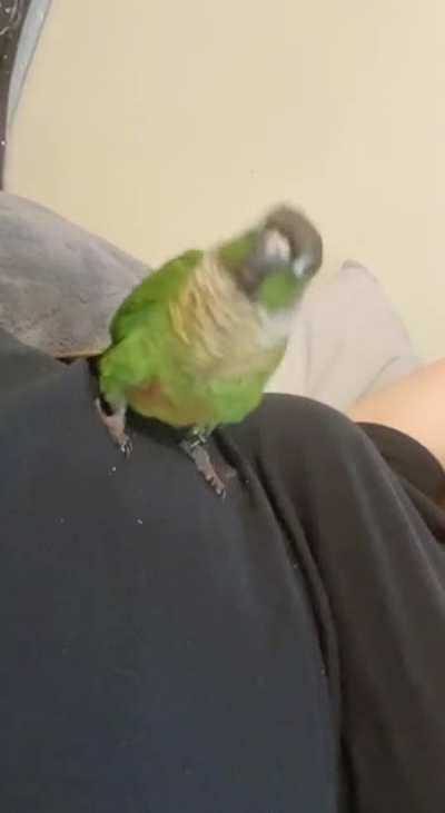 Will you dans with him??