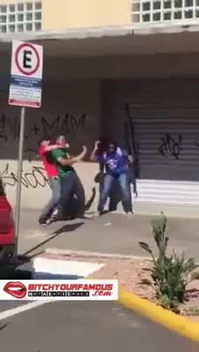 Woman Beater gets Eliminated by a couple of Good S