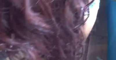 r/TheSunnyPlayhouse: Foreign bitch sucks a penis.