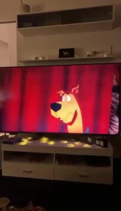 The weirdest crossover