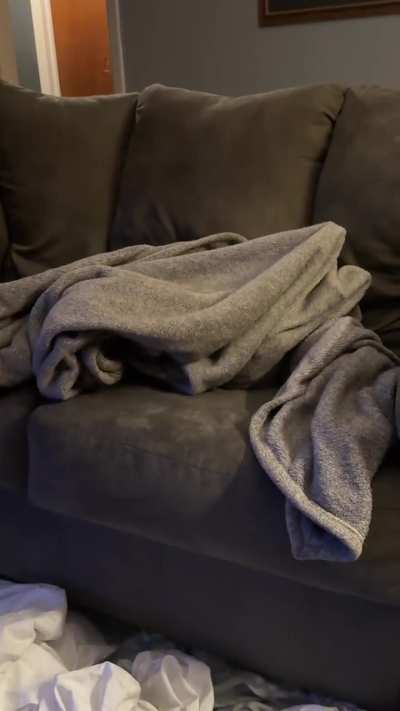 She loves playing under her blankets 😂❤️