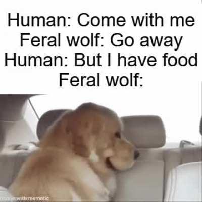 'Food, you say? Alright then, but if my descendants end up being dressed up like astronauts I'll be real mad'