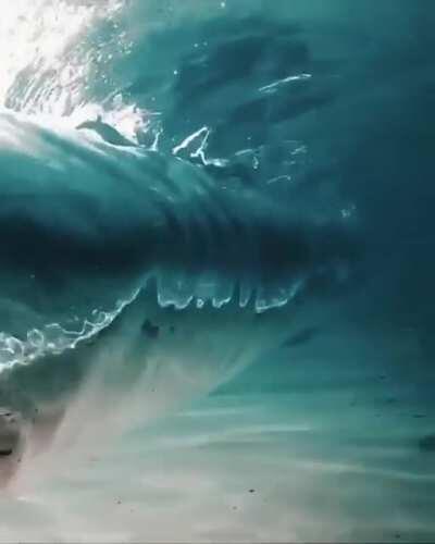 How crystal clear this water is