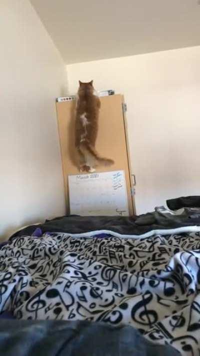 He failed to factor in the box on top of the closet