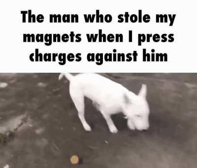 stop posting about cookieman