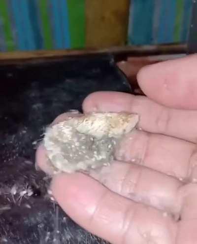 Thanks, I hate eating peanuts