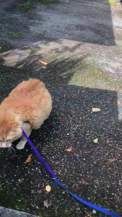 I think we’re making progress in walking...I think