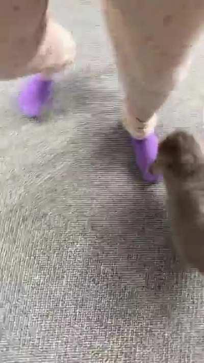 after being very poorly, my baby is finally playing again!🥺🥰❤️❤️