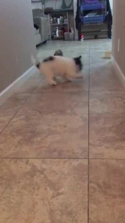 You’ve been hit by... you’ve been struck by... a smooth criminal