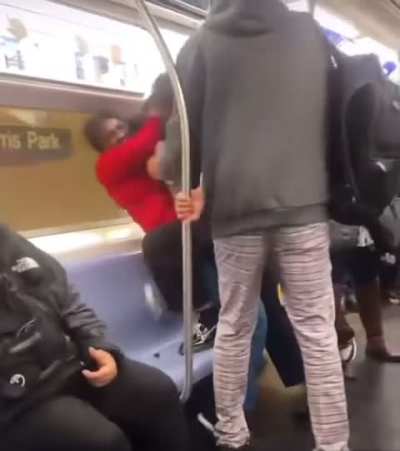 Girl Fight - Two Girls Throw Hands On NYC Subway Train After Shoving Each Other 1v1 Fight