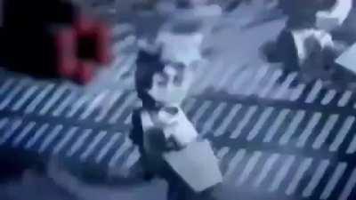 rodentintercourse - Video #0486