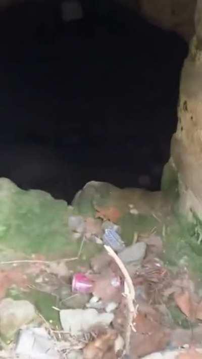 Nice of them to put in the motion activated light so that we don't accidentally overlook the existential horror.