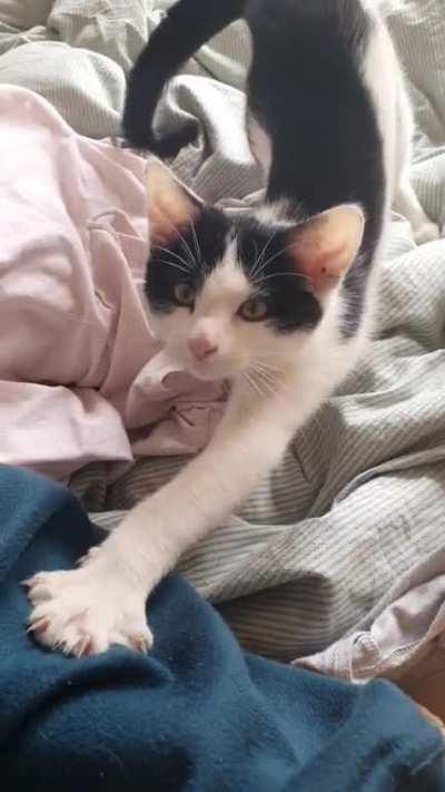 Toast making his demands