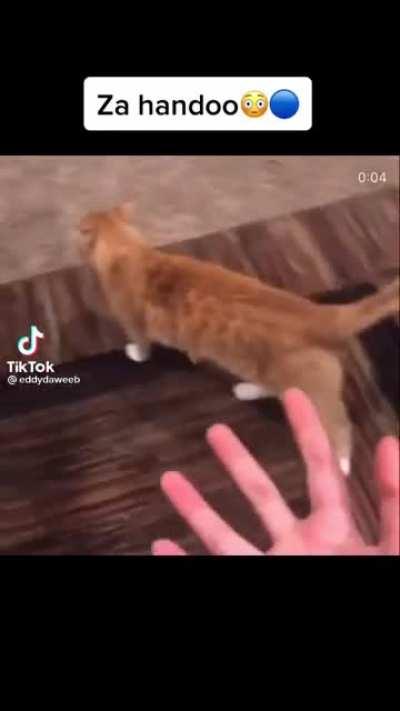 Saw this on tiktok had to share