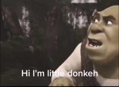 WIGGLEDEEDOO BIGGLEDEEBOB