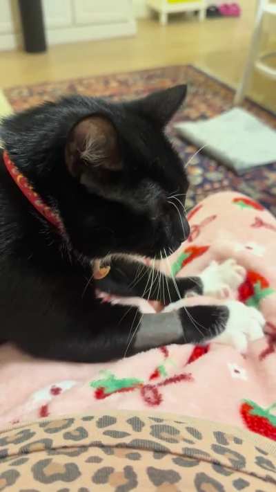 She just had surgery, but there’s no days off when you’re a professional baker