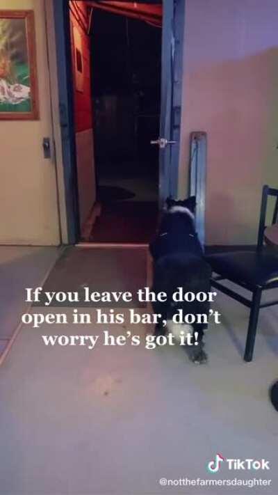 Meet Jack, the tip collector at a bar in Idaho