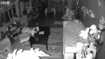 I regret taking advice and telling it to leave because now it’s angry as heck. First part is family room. Then living room camera gets triggered, then next trigger is it being triggered downwards. And I didn’t even do it in person because I’m chicken. I d