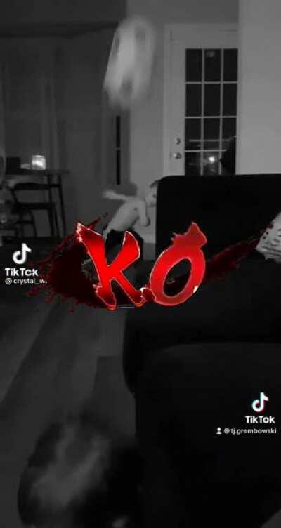 Tribute to the Power Ranger Kid