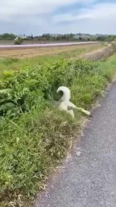 Its in Here I Know it!