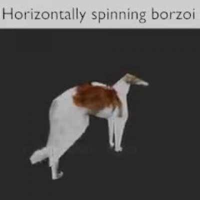 I present to you . . .