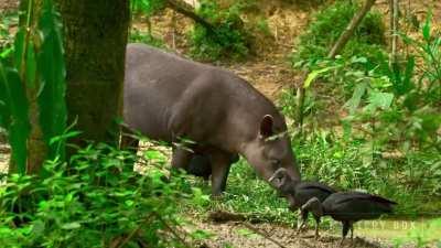 The quality of this GIF looks better than real life