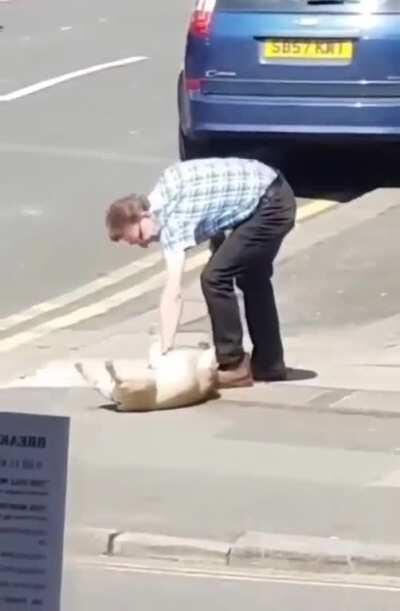 When you take your dog out and he refuses to walk