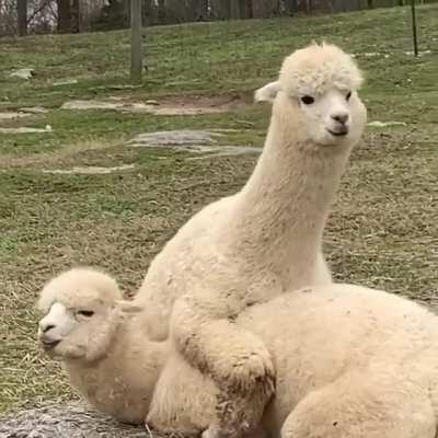 Jim... Jim the heck are you doing??!! JIMMM