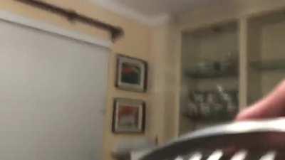 impress high velocity fan unboxing video