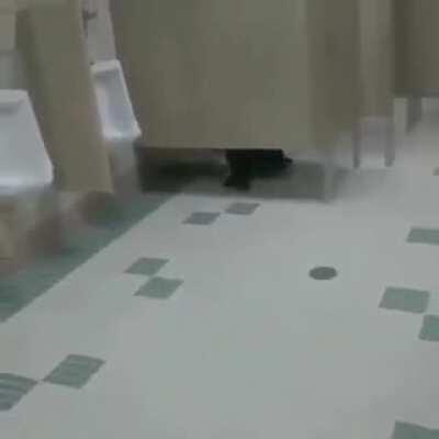 minecraft gas mod Epic moments! (SECRET TREASURE CHEST)